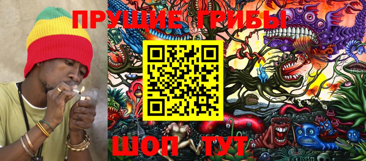 Псилоцибиновые грибы Magic Shrooms Ставрополь
