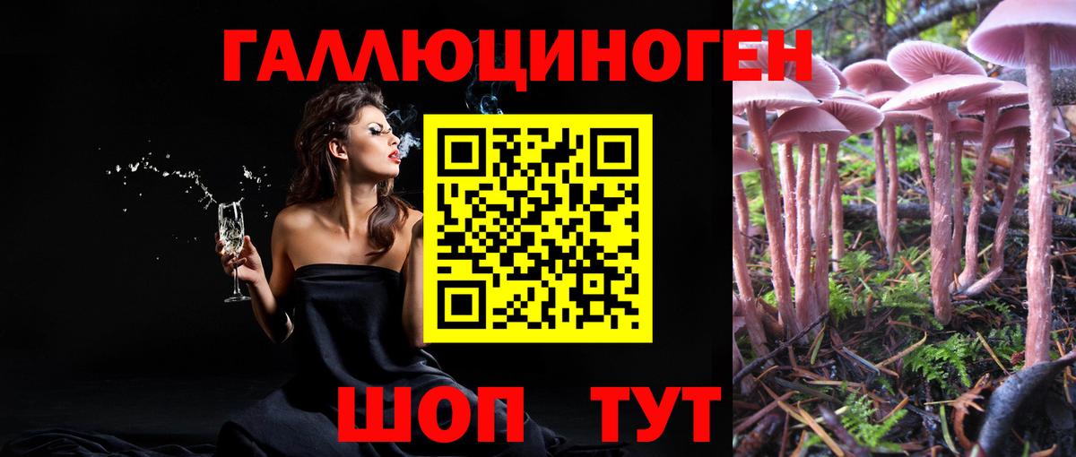 Галлюциногенные грибы GOLDEN TEACHER  купить   Вход с VPN  Ставрополь  Псилоцибиновые грибы GOLDEN TEACHER 